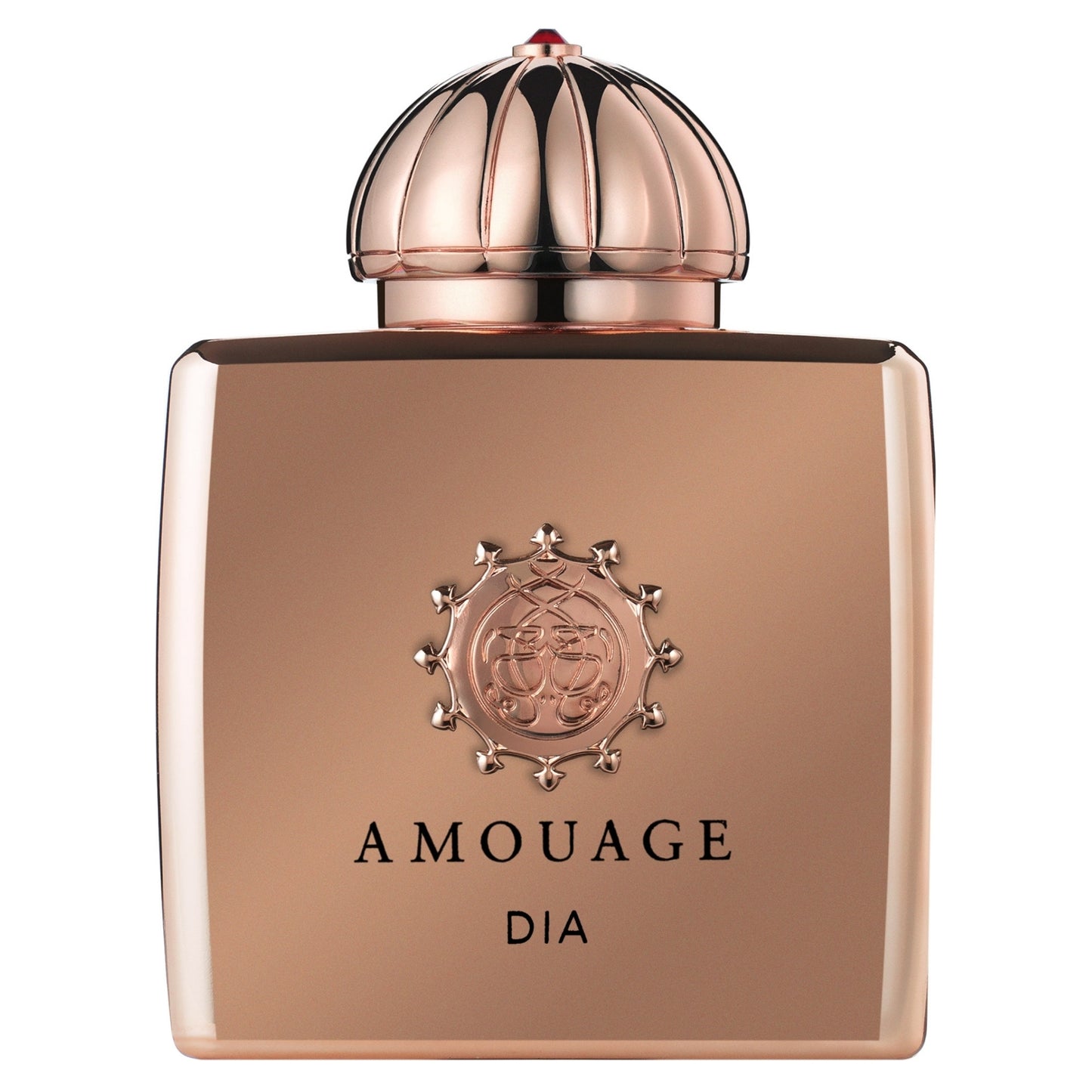 Productos de Importación (12 - 16 días hábiles) - Amouage Dia (New Packaging) (L) EDP 3.4 Oz