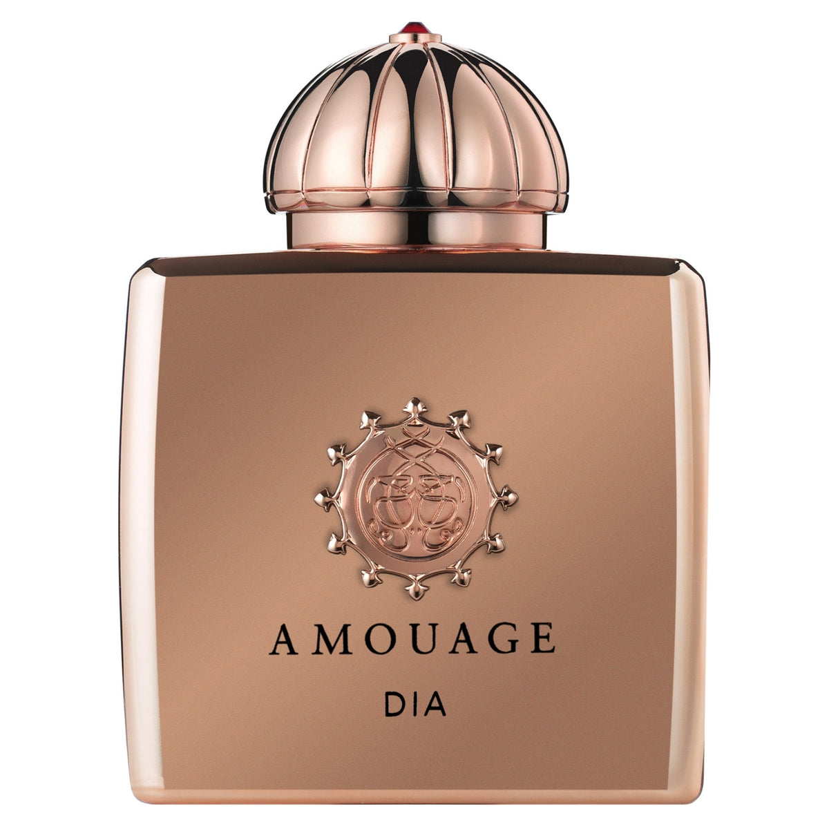Productos de Importación (12 - 16 días hábiles) - Amouage Dia (New Packaging) (L) EDP 3.4 Oz