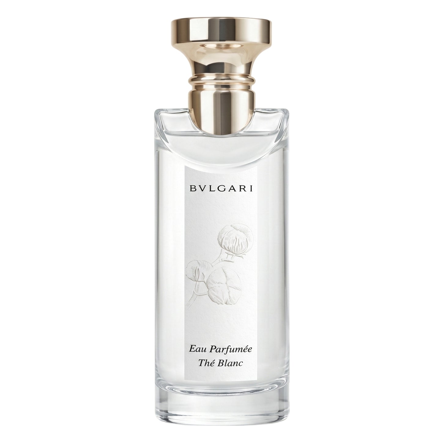 Productos de Importación (12 - 16 días hábiles) - Bvlgari Eau Parfumee Au The Blanc (U) EDT 5 oz