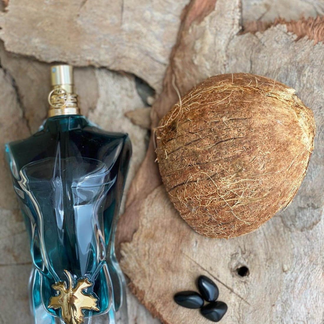 L Beau Jean Paul Gaultier: El elixir de coco
