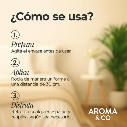 Aroma & Co. Home Champagne Toast | 250 ml