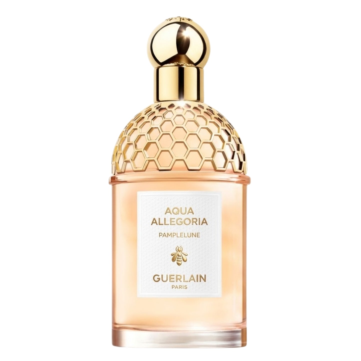 Productos de Importación (12 - 16 días hábiles) - Guerlain Aqua Allegoria Pamplelune (L) EDT 4.2 oz