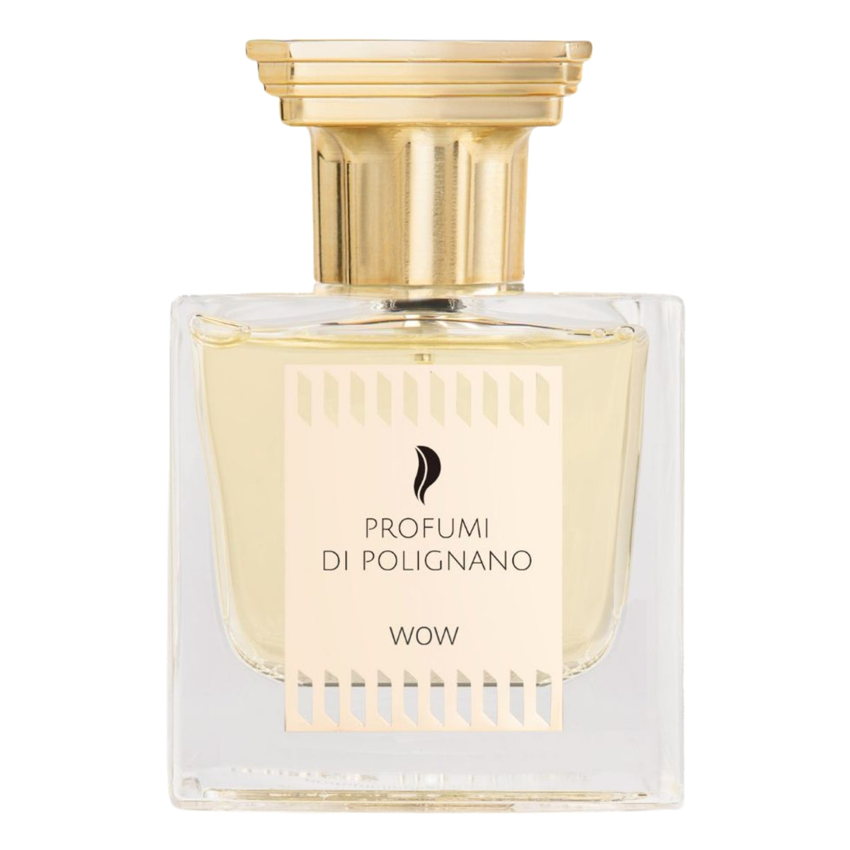 Productos de Importación (12 - 16 días hábiles) - Profumi Di Polignano Wow (U) 3.4 Oz