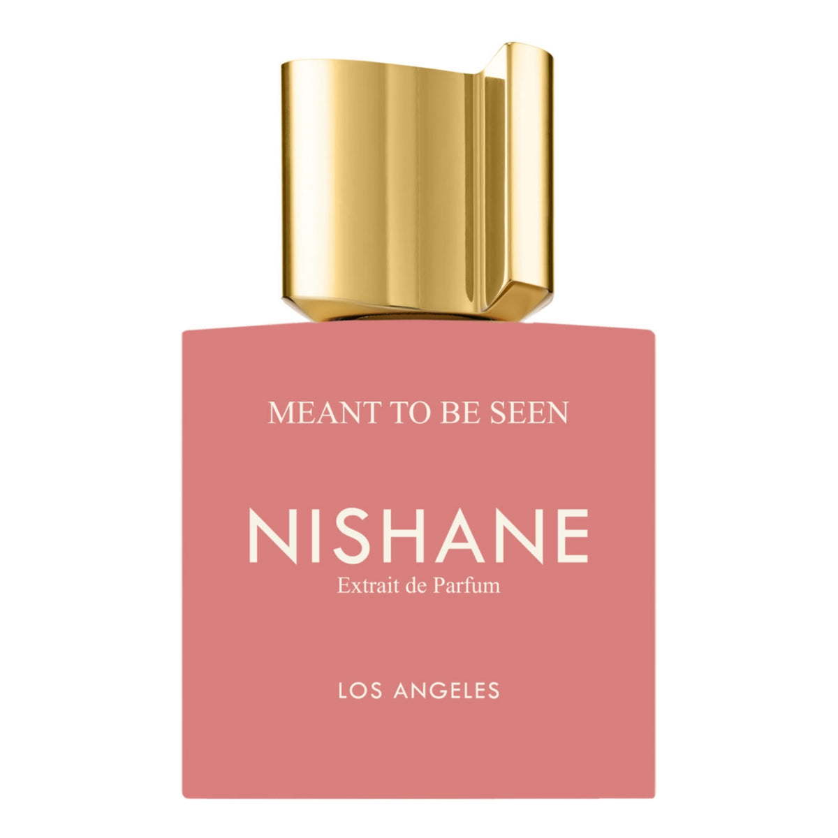 Productos de Importación (12 - 16 días hábiles) - Nishane Meant to Be Seen (U) 3.4 Oz